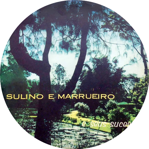 Sulino & Marrueiro
