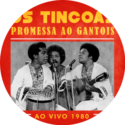 Os Tincoas