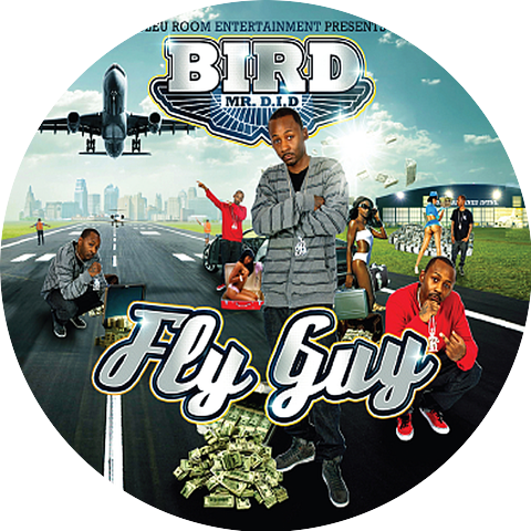 Bird Mr. D.I.D.