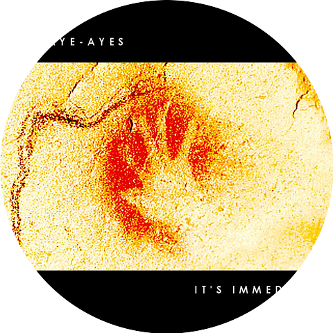 The Aye-Ayes