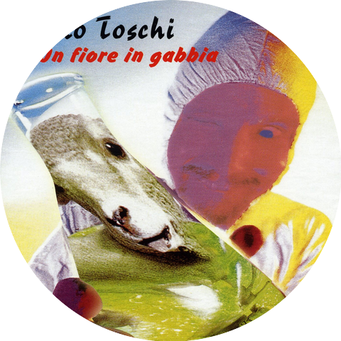 Paolo Toschi