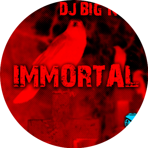 DJ Big Noize