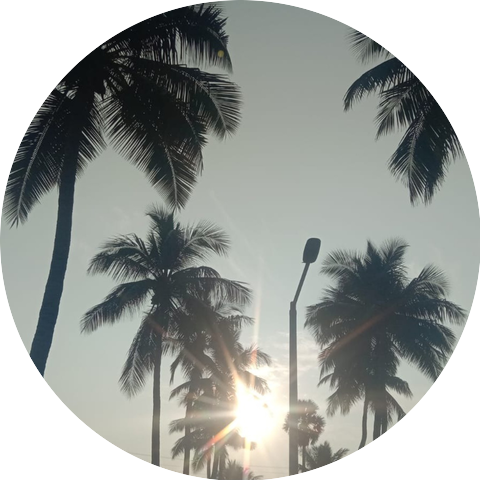 Nalini