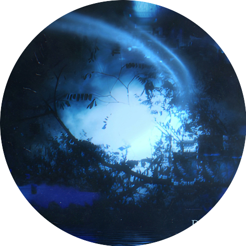 Digital Gnosis