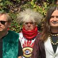 Melvins