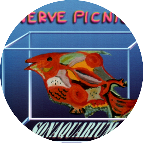 Nerve Picnic