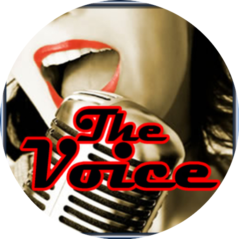 The Voice DJ's