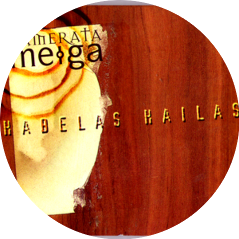 Camerata Meiga