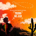 Tribo de Jah, Fauzi Beydoun