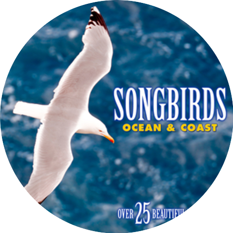 Echoes of Nature: Bird Songs, Calls & Sounds