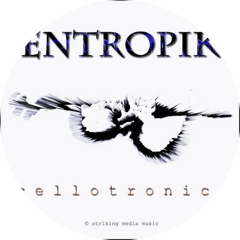 Entropik