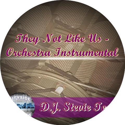D.J. Stevie Tee