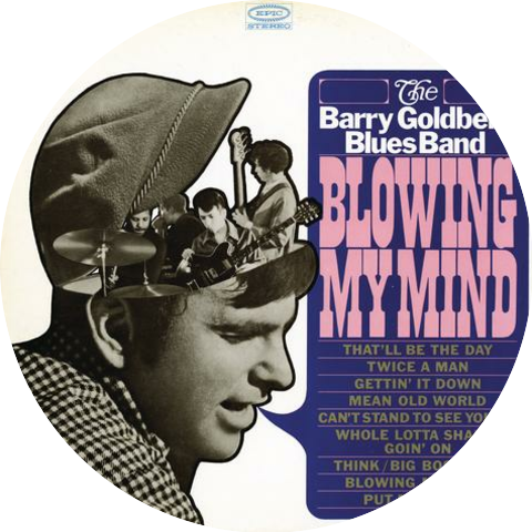 The Barry Goldberg Blues Band