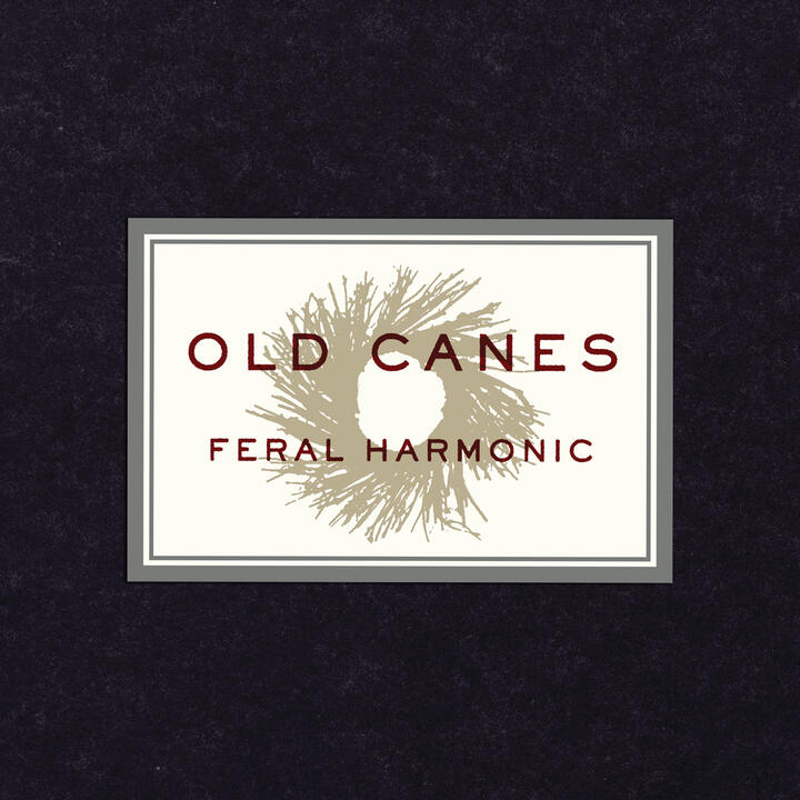 Old Canes