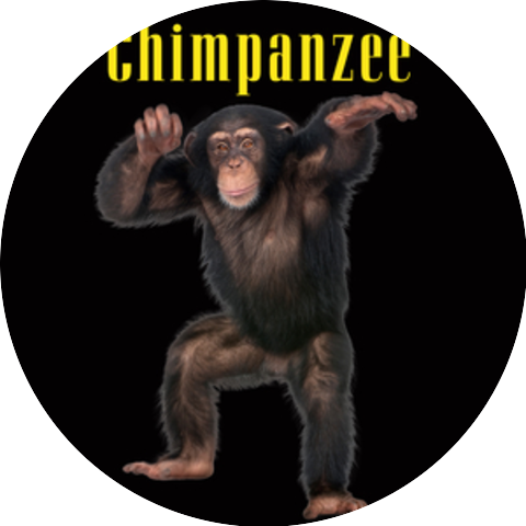 Chimpanzee Sounds