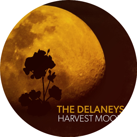 The Delaneys