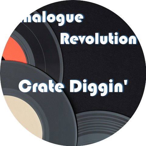 Analogue Revolution