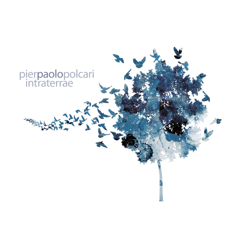 Pier Paolo Polcari