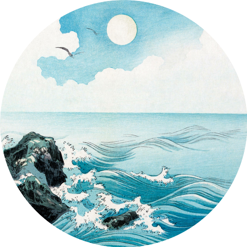 David Robidoux