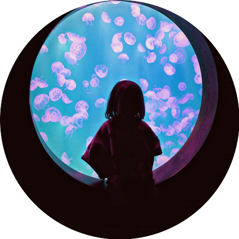 Meta-Stasis