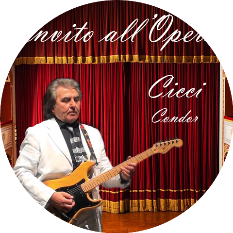 Cicci Condor