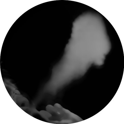 207