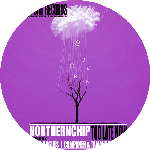 Northernchip