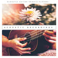 Acoustic Guitar Tribute Players