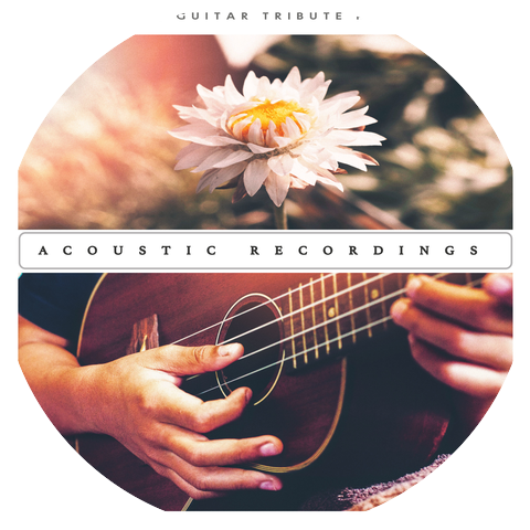 Acoustic Guitar Tribute Players