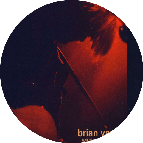 Brian Vander Ark (the Verve Pipe)