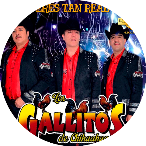 Los Gallitos de Chihuahua