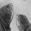 SHXCXCHCXSH