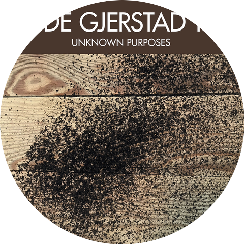 Frode Gjerstad Trio
