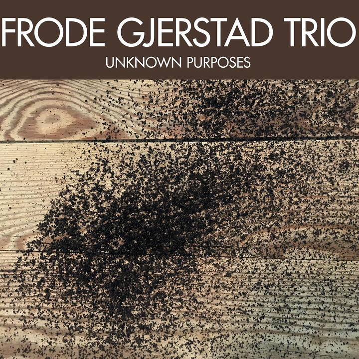 Frode Gjerstad Trio
