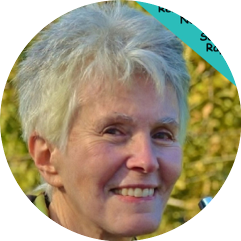 Sandy Rapp