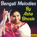 Asha Bhosley, Amit Kumar