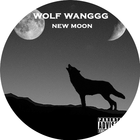 Wolf Wanggg