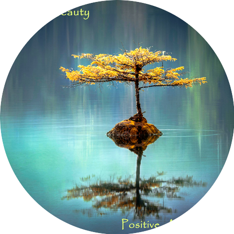 Positive Affirmations