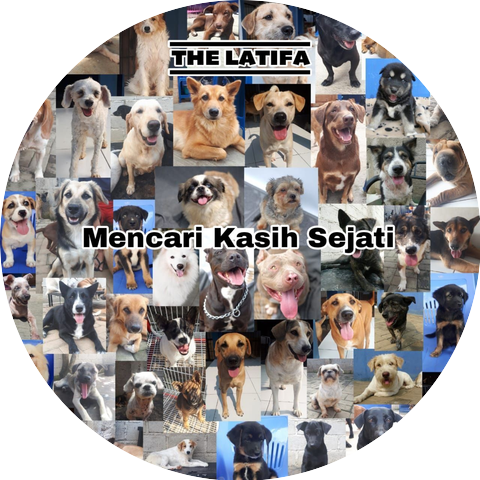 Latifa
