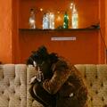 L.A. Salami