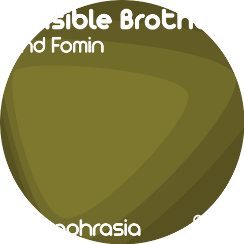 Fomin, Invisible Brothers