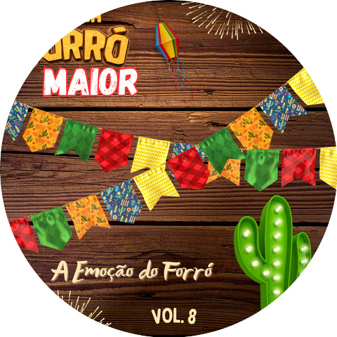 Banda Forro Maior
