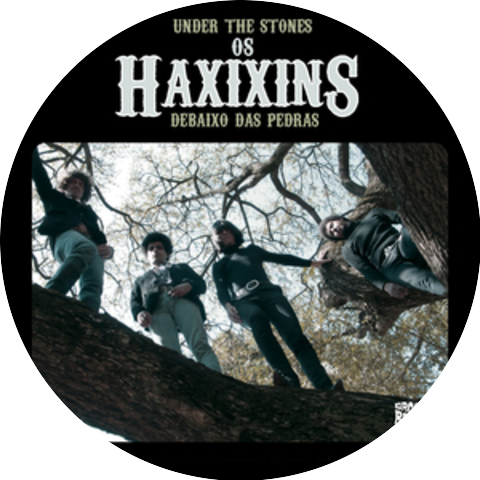 Os Haxixins