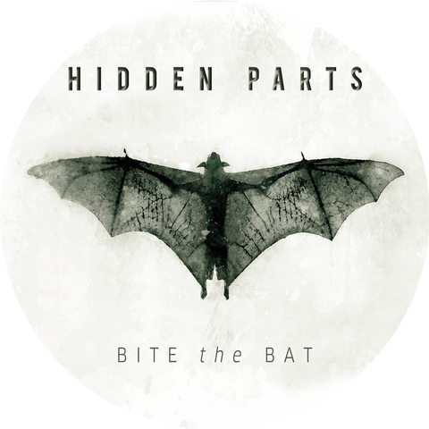 Hidden Parts
