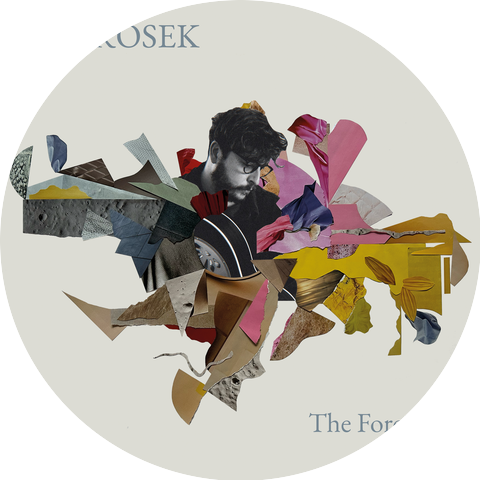 Ed Prosek