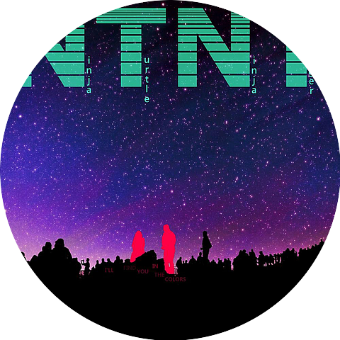 Ninja Turtle Ninja Tiger