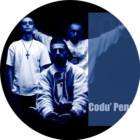 Codu' Penal
