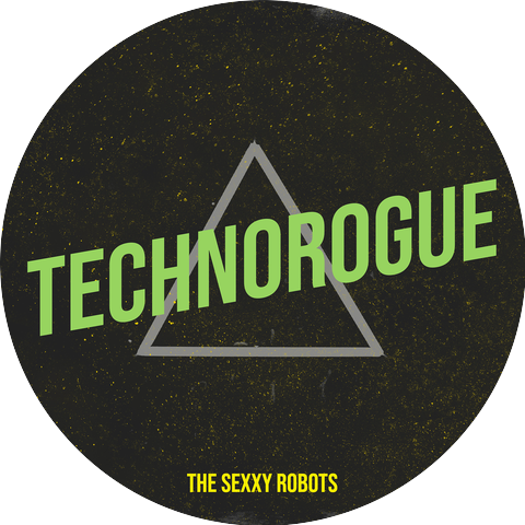 the SeXxY RoBoTs