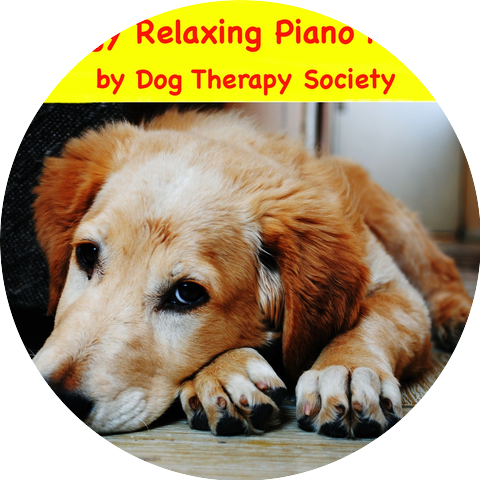 Dog Therapy Society