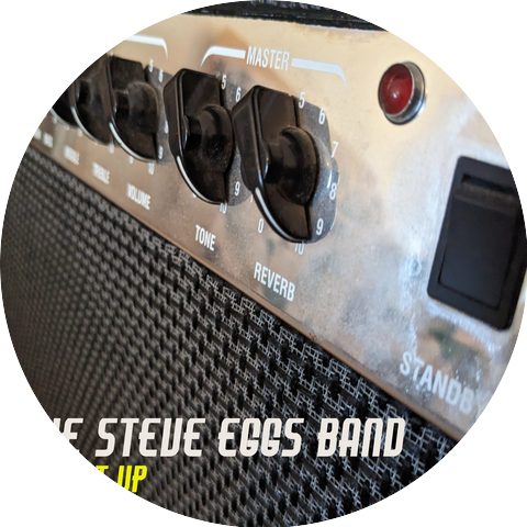The Steve Eggs Band
